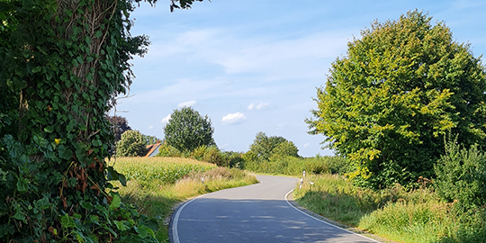 Straßen- und Wegebau